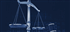 laws.gif
