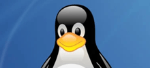 Succes med XP-look til Ubuntu: Ringsted-borgere kører Linux uden at vide det